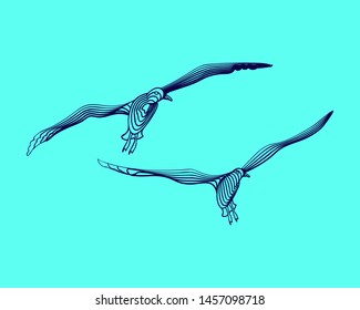 Graphic birds. Vector illustration. The birds consist of lines.Digital element design  for business cards, invitations, gift cards, flyers and brochures, web.