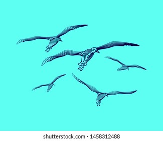 Graphic birds. Vector illustration. The birds consist of lines.Digital element design  for business cards, invitations, gift cards, flyers and brochures, web.