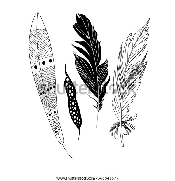 Graphic Black Feathers Closeup On White Stock Vector (Royalty Free