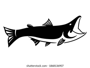 Common Snook Fish Stock Vector (Royalty Free) 539281972