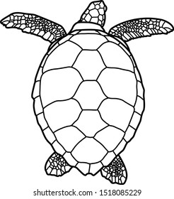 Turtle Stock Vector (Royalty Free) 613400465