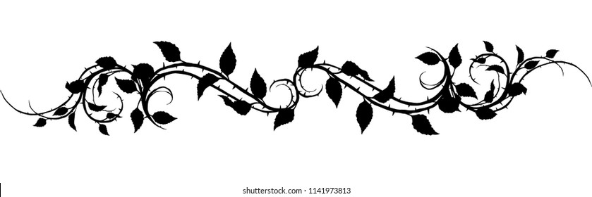 Graphic black silhouette floral rose branch with leaves and thorns. On white background. Vector icon set.