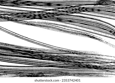 Ondas negras gráficas, motivos de algas vegetales con líneas intersectadas suaves. Fondo abstracto de color blanco y negro dibujado a mano. Elemento de diseño aislado de vectores en un fondo blanco