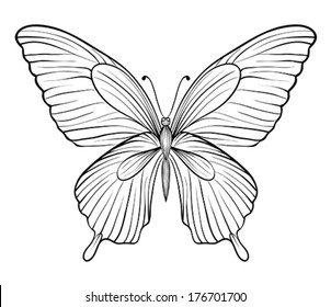 Graphic Black White Butterfly Handdrawn Contour Stock Vector (Royalty ...