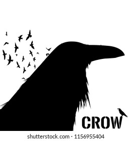 Graphic black and white crow isolated on white background. Old and wise bird. Raven Halloween character. Hand drawn sketch style vector illustration. Wall decoration sticker.