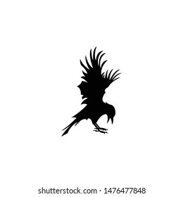 Graphic black and white crow isolated on white background.