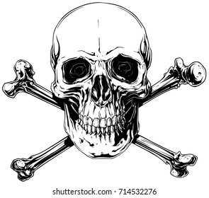 Graphic black   white detailed human skull and crossed bones vector