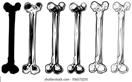 Graphic black and white different human bone vector set. Vol. 2