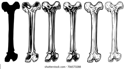 Graphic black and white different human bone vector set. Vol. 1