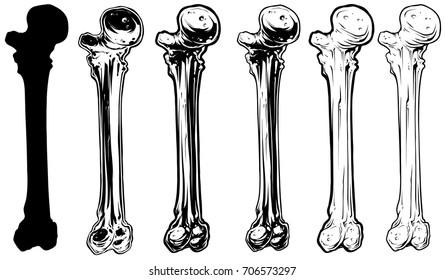 Graphic black and white different human bone vector set. Vol. 3