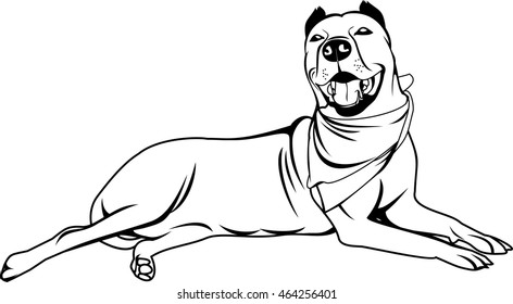 Graphic black and white dog vector