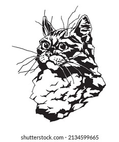 Graphic black and white drawing of a portrait of a cat on a white background. Traced image for stickers, prints, postcards, design, etc.