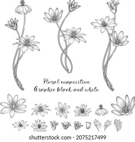 Graphic black and white floral composition.