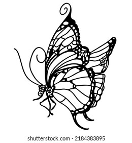 Graphic black and white linear drawing of a butterfly. Isolated illustration in the form of a silhouette of a flying moth. To cut and create a mask.