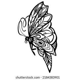 Graphic black and white linear drawing of a butterfly. Isolated illustration in the form of a silhouette of a flying moth. To cut and create a mask.