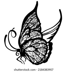 Graphic black and white linear drawing of a butterfly. Isolated illustration in the form of a silhouette of a flying moth. To cut and create a mask.