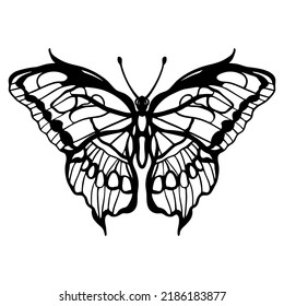 Graphic black and white linear drawing of a butterfly. Isolated illustration in the form of a silhouette of a flying moth. To cut and create a mask.