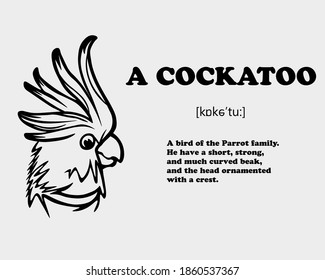 Graphic black and white picture of a cockatoo with a description. Vector illustration.