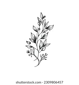 Botanische Grafiken: Entdecken Sie Flora mit einem Touch eleganter Skizzen