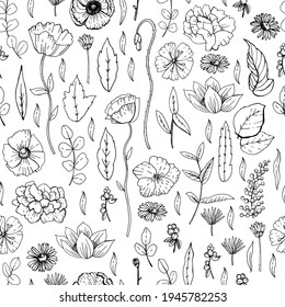 Patrón gráfico de bocetos botánicos. Ilustración vectorial. Gráficos manuales.  