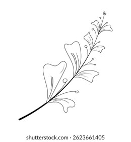 Graphic branch of a plant on a background. A twig of a plant. A doodle plant. An abstract element. Template for the design