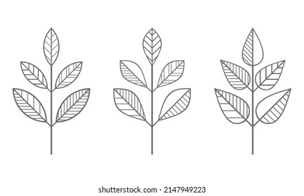 Graphic branches icons vector set. Contour line leaves illustration isolated on white. Floral design element for print, background, banner or card.Ecology symbol, environment concept, eco sign, logo.