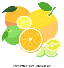 Graphic bright still life of citrus fruits