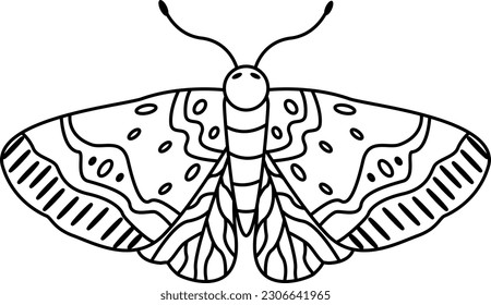 Graphic butterfly icon. Black and white butterfly. Butterfly tattoos are isolated on a white background. Vector