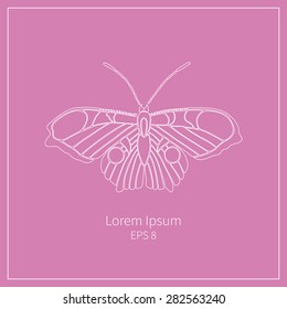 Graphic butterfly logo, line