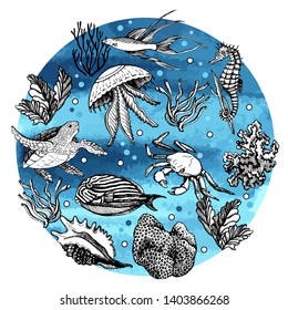 Graphic card with marine images. Manual graphics. Sketches. Sea animals, corals and algae. Watercolor background. Vector illustration.