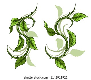 Graphic cartoon detailed green rose branch, stem with leaves, thorns and shadows. Isolated on white background. Vector icon set. Vol. 1