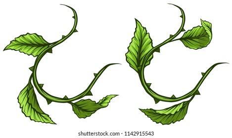 Graphic cartoon detailed green rose branch, stem with leaves and thorns. Isolated on white background. Vector icon set. Vol. 2