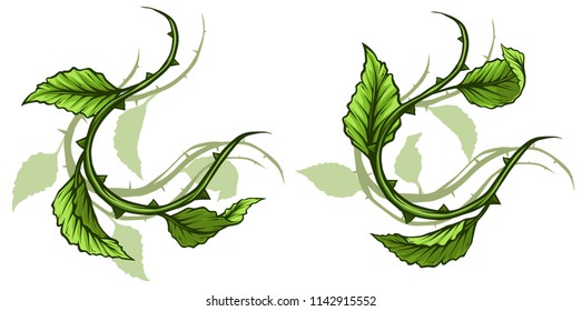 Graphic cartoon detailed green rose branch, stem with leaves, thorns and shadows. Isolated on white background. Vector icon set. Vol. 2