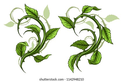 Graphic cartoon detailed green rose branch, stem with leaves, thorns and shadows. Isolated on white background. Vector icon set. Vol. 5