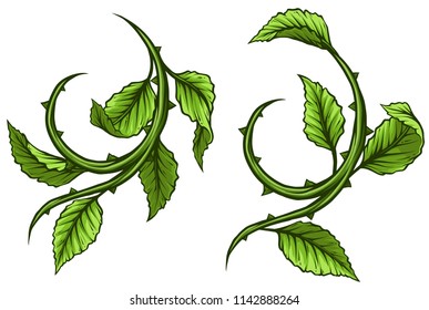 Graphic cartoon green rose branch, stem with leaves and thorns. Isolated on white background. Vector icon set.