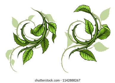 Graphic cartoon green rose branch, stem with leaves and thorns and shadows. Isolated on white background. Vector icon set.