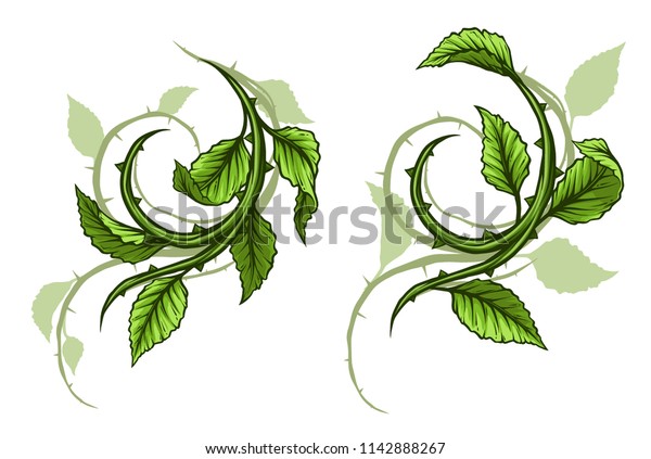 葉ととげと影を持つ茎を持つ 漫画の緑のバラの枝 白い背景に ベクター画像アイコンセット のベクター画像素材 ロイヤリティフリー