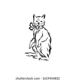 Graphic cat, pet, man’s four-legged friend, hand drawn graphic, line art, animal