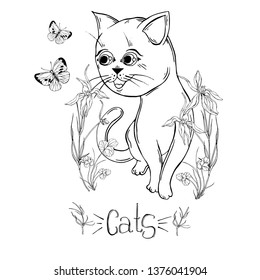 graphic cat with wildflowers with insects