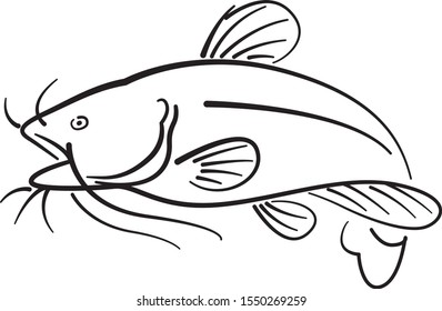 452 Catfish line drawing Images, Stock Photos & Vectors | Shutterstock