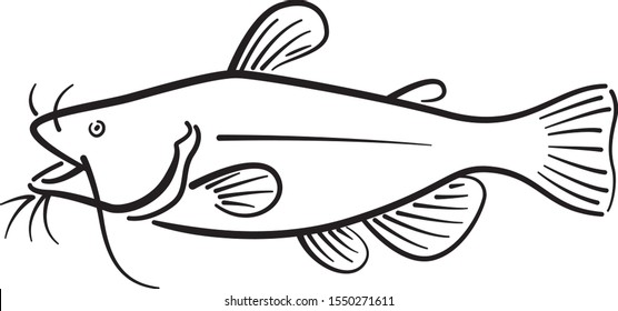 Graphic catfish on white background, vector