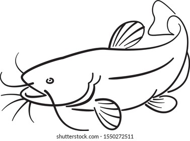 Whale Drawing Hand Drawn Illustration Whale Stock Vector (Royalty Free ...