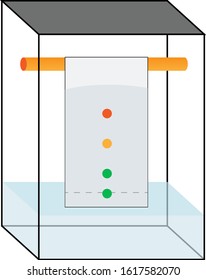 graphic of a chromatography case