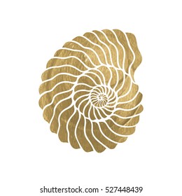 Graphic circle seashell isolated on white background. Tattoo art or t-shirt design in gold color