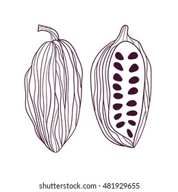 graphic Cocoa beans, chocolate . Design  packing for restaurant, shop, confectionery, culinary, cafe, cafeteria, bar.