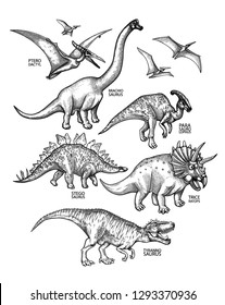 Graphic collection of dinosaurs isolated on white background. Animals of the prehistoric period drawn in engraving technique. Coloring book page design
