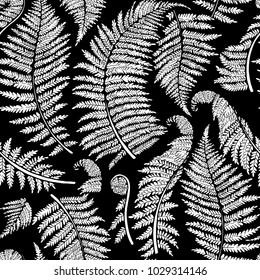 Graphic collection of fern branches. Vector seamless pattern. Coloring book page design