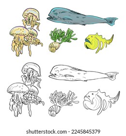 Graphic collection of marine life. Vector ocean creatures isolated on white background. Colouring book page design for adults and children. Vector doodle illustration set of sea creatures and plants. 