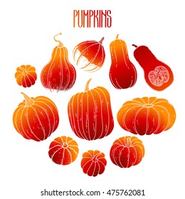 Graphic collection of pumpkins drawn in line art style. Vector elements for thanks giving day design