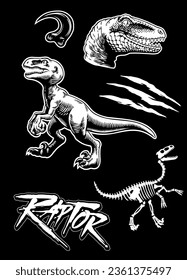 Graphic Collection of Raptors Isolated Vector Illustration